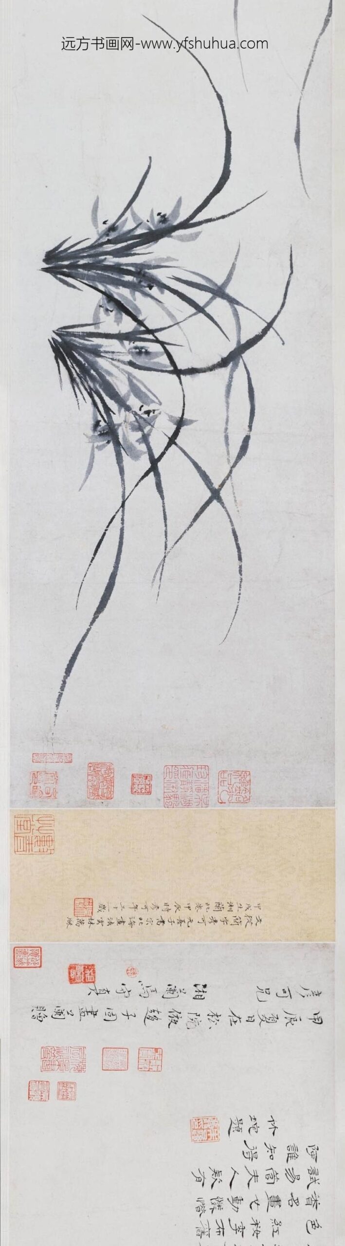 马守真_薛素素兰花图卷_