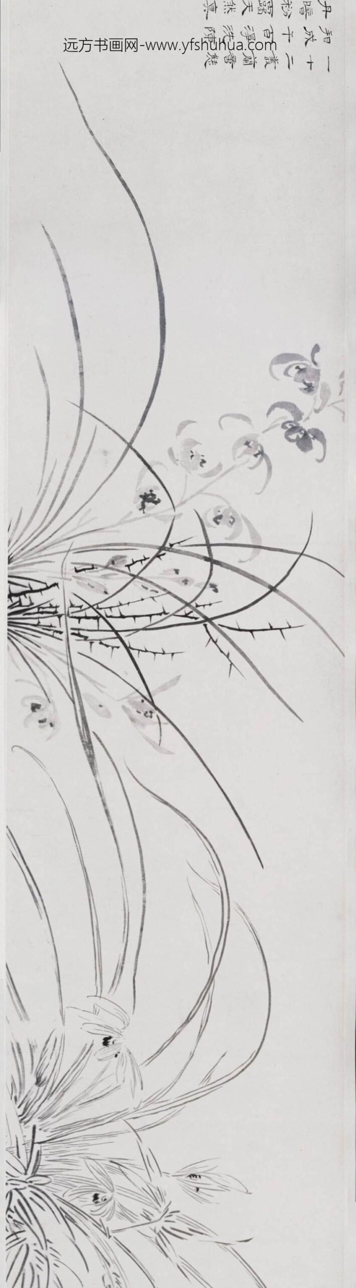 马守真_薛素素兰花图卷_