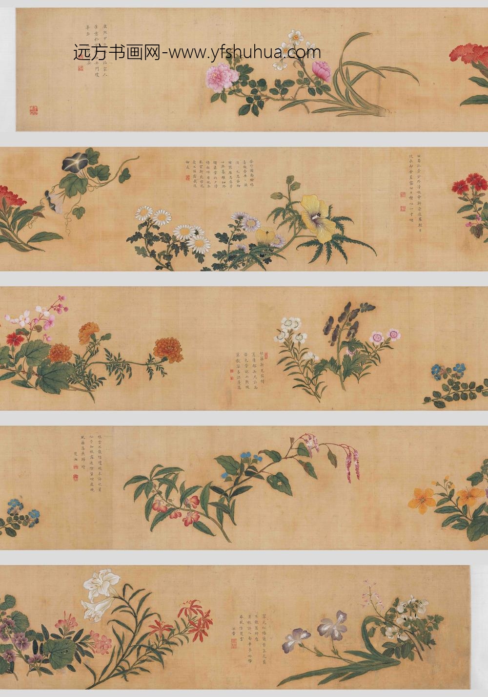 马荃_四季花卉卷