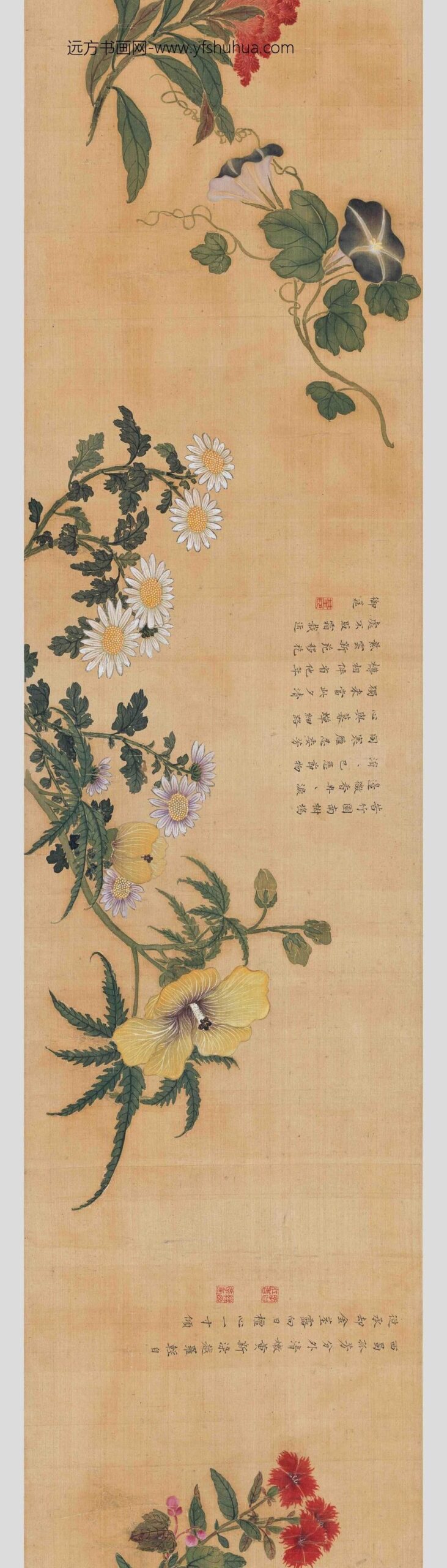 马荃_四季花卉卷_