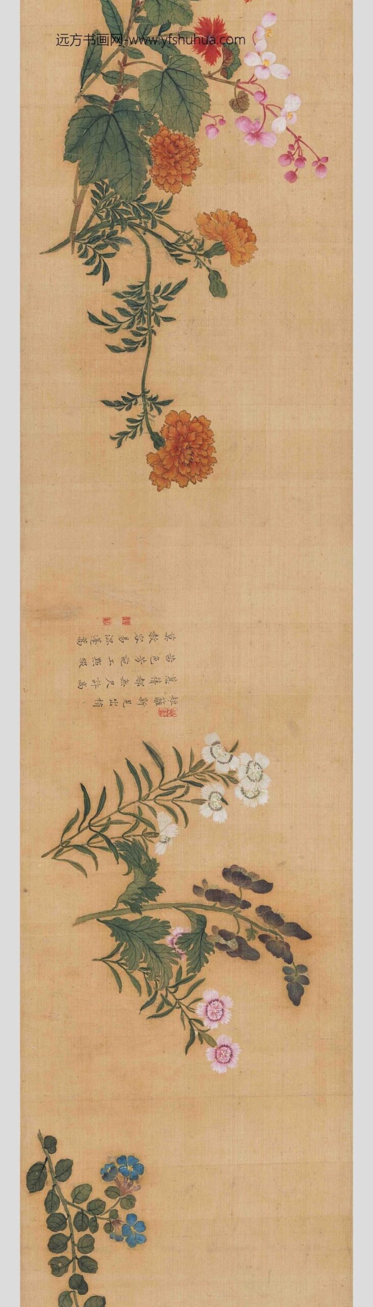 马荃_四季花卉卷_