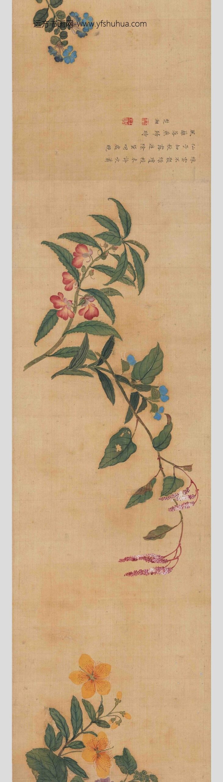 马荃_四季花卉卷_