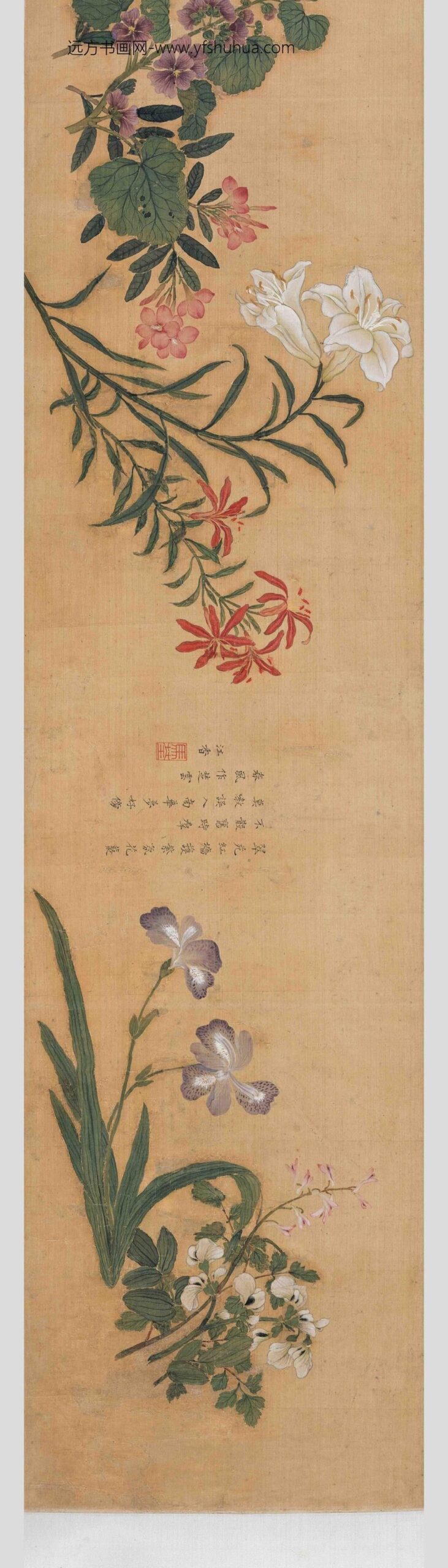 马荃_四季花卉卷_