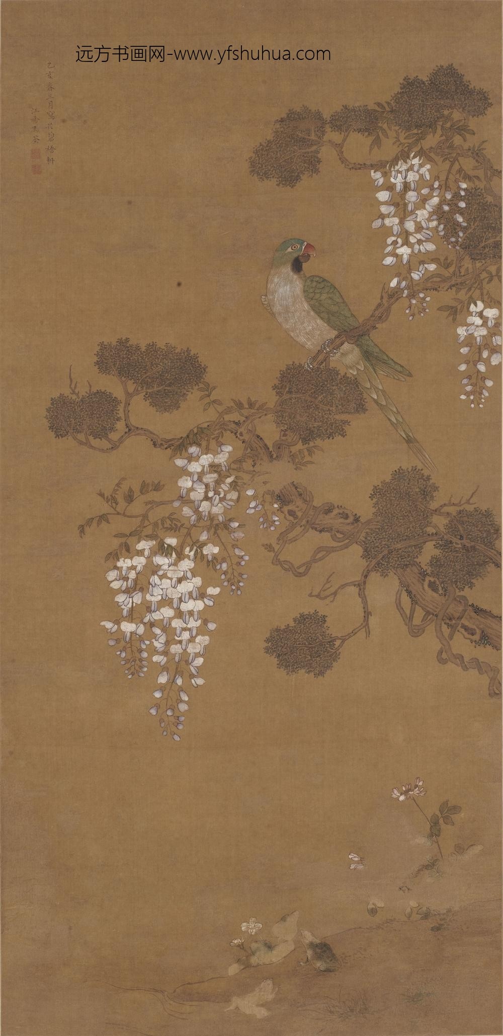 马荃_鹦鹉紫藤图轴