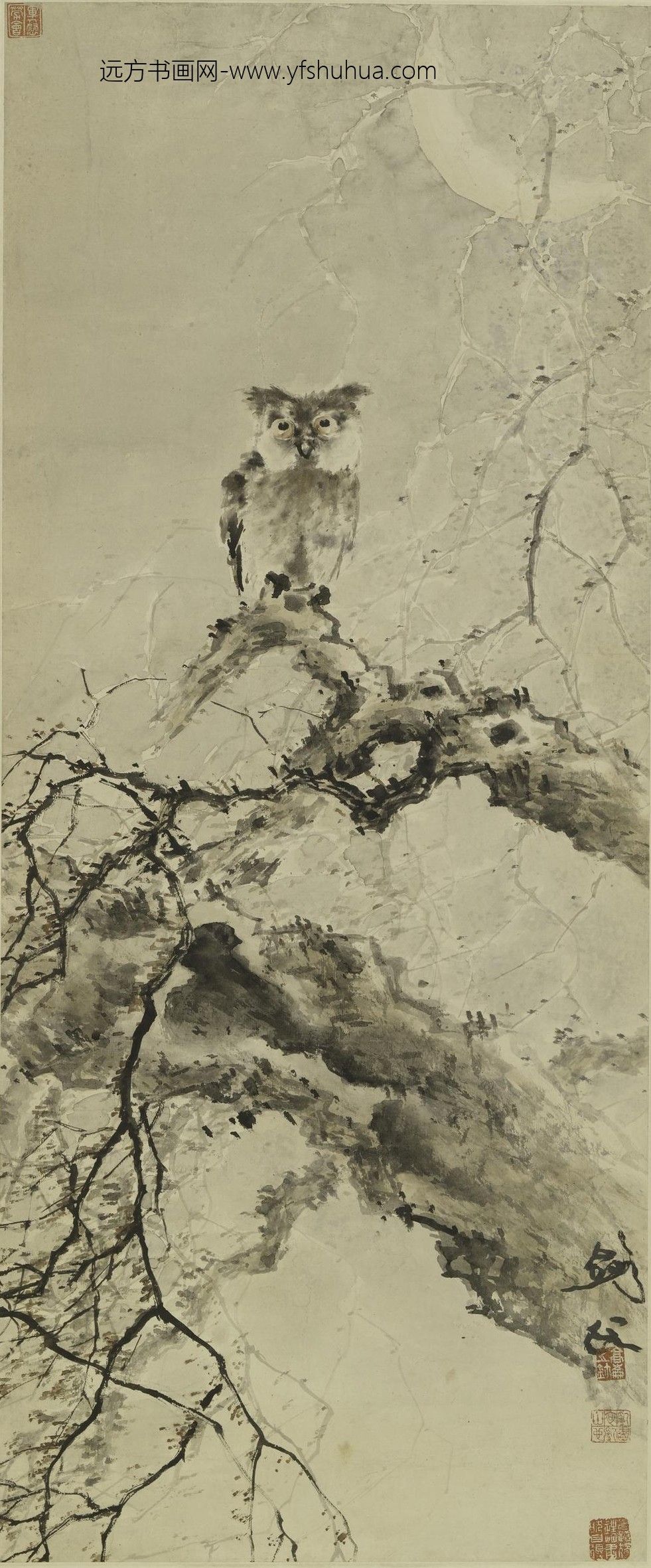 高剑父_猫头鹰图轴