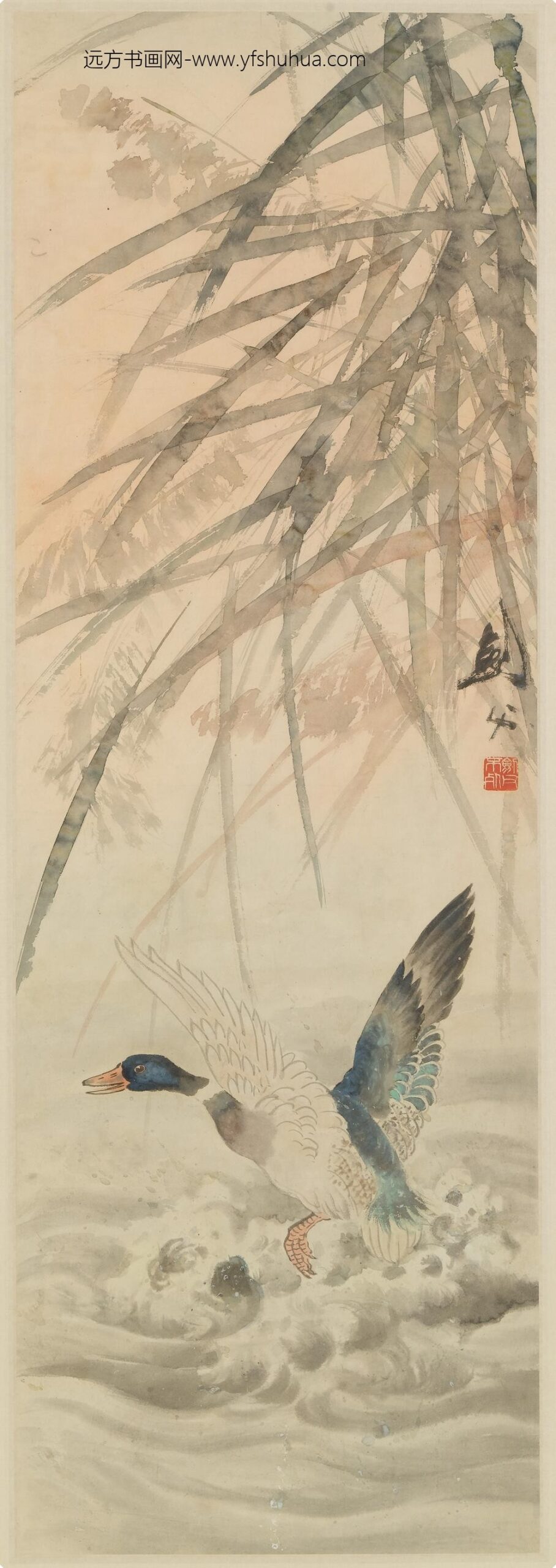 高剑父_芦鸭图轴