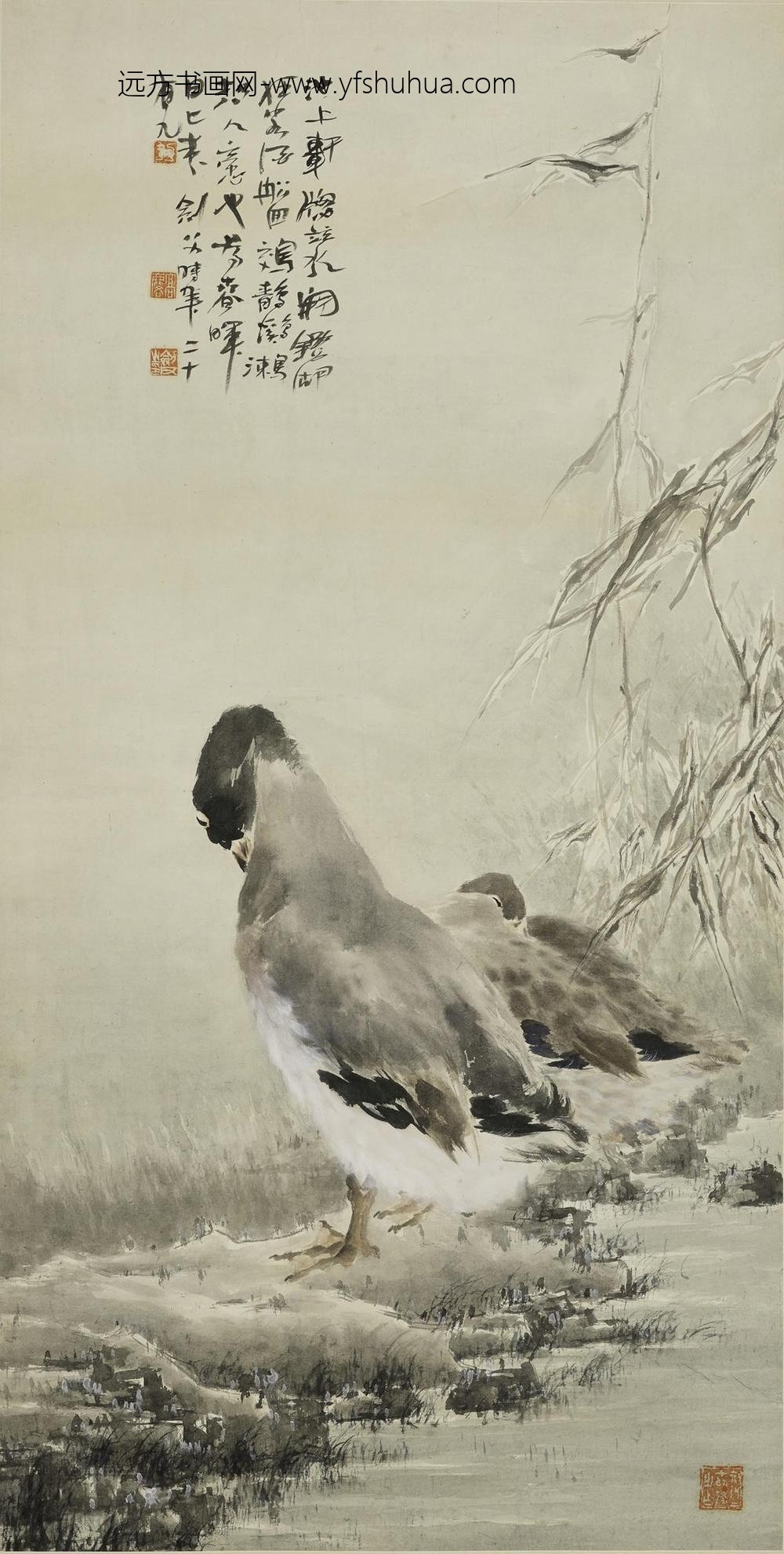 高剑父_鵁鶄图轴