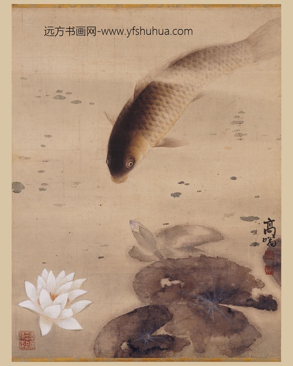 高奇峰_白荷鲤鱼图轴