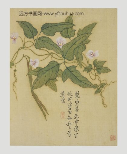 鲍楷 花卉册.jpg