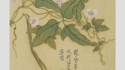 鲍楷 花卉册.jpg