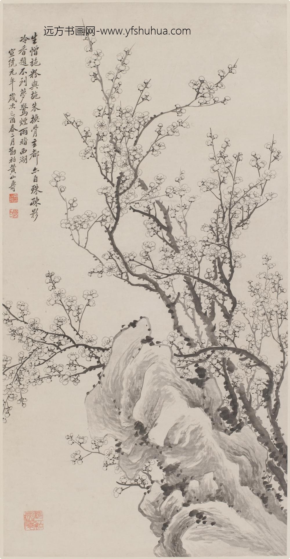 黄山寿_梅石图轴