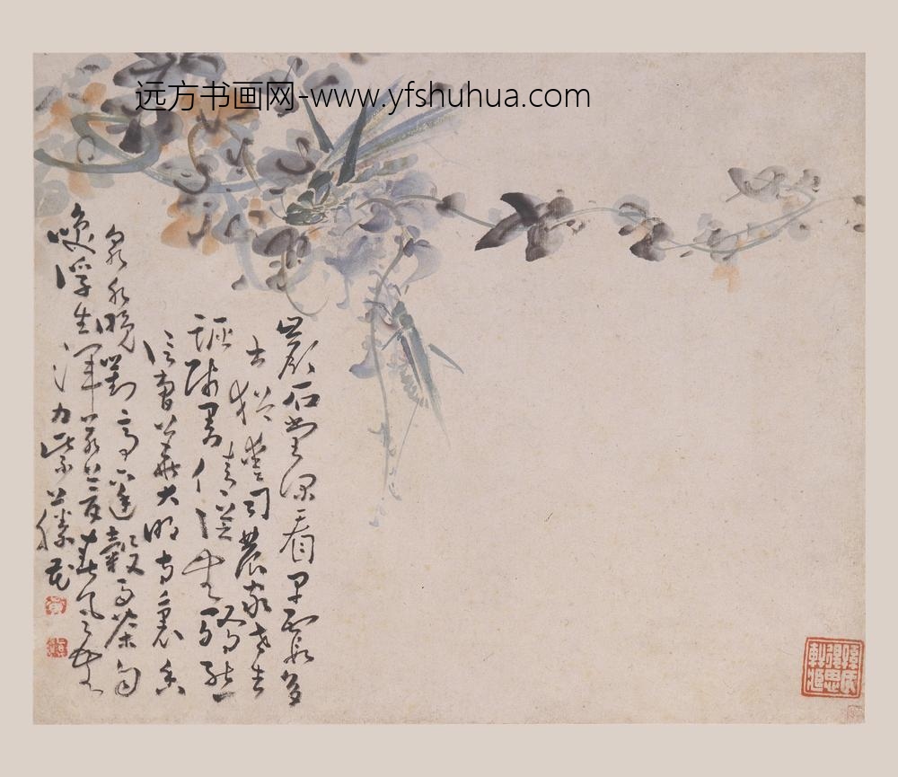 黄慎_花鸟草虫图册