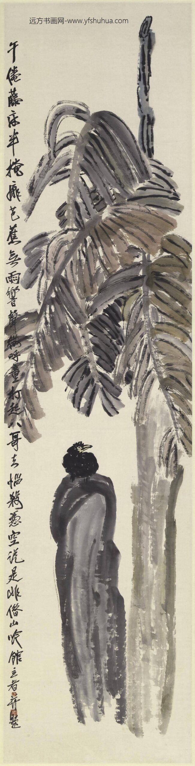 齐白石_芭蕉八哥图轴