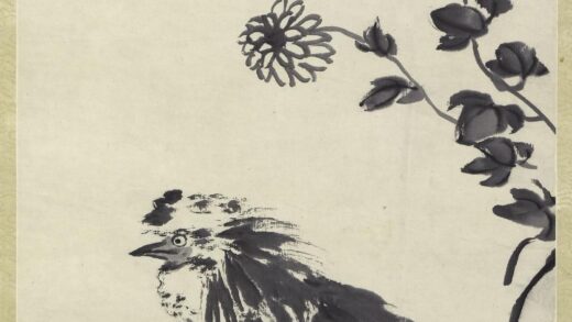 齐白石 鸡菊图轴.jpg