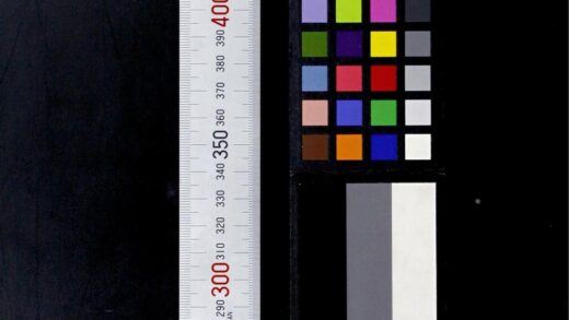 2613 满族语语法 0621215519 1.jpg