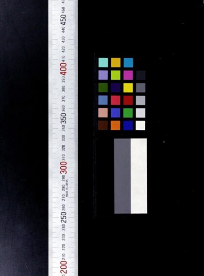 2615 新概念新词 对中国报纸的研究 0621215525 1.jpg