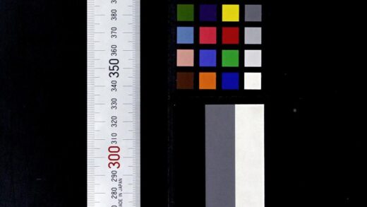 2615 新概念新词 对中国报纸的研究 0621215525 1.jpg