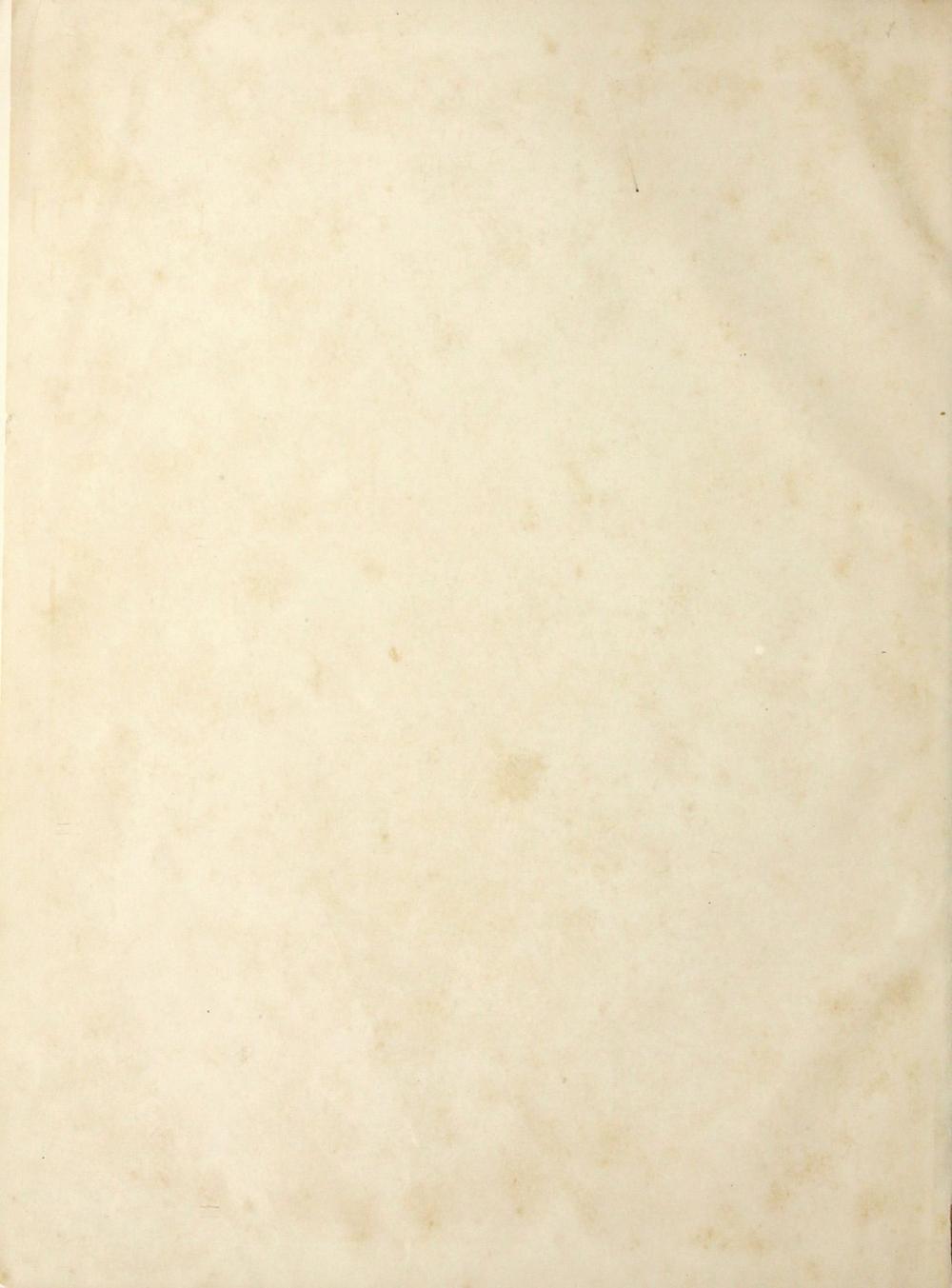 _新概念新词 对中国报纸的研究__