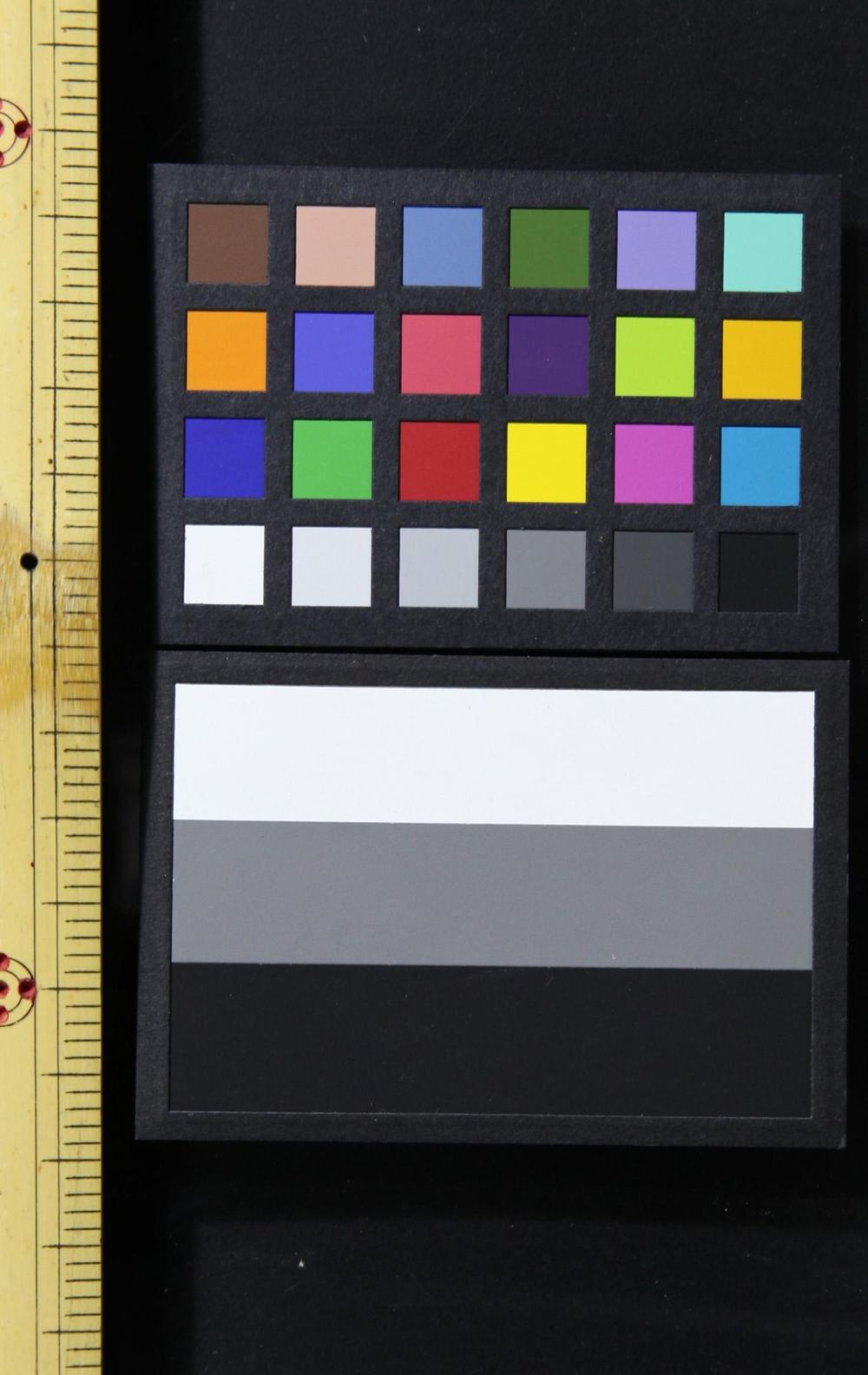 _皮尼奥的英语初学者基础语法__