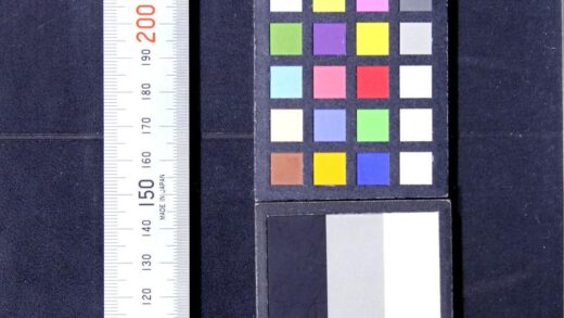 2634 英华萃林韵府 0621215702 1.jpg