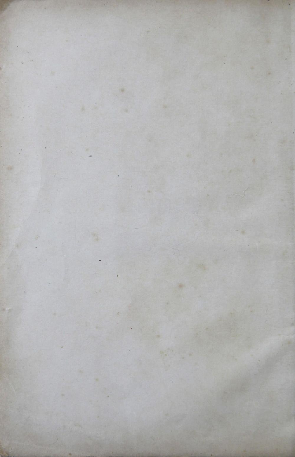 _英文新字辞典__