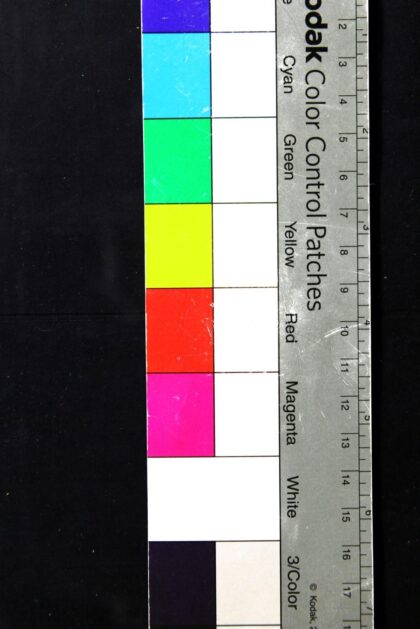 2675 英文新字辞典 0621215954 1.jpg