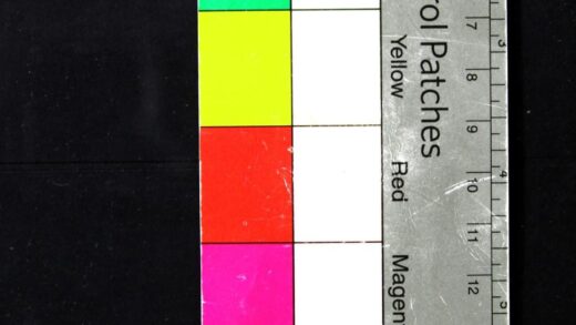 2675 英文新字辞典 0621215954 1.jpg