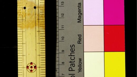 2693 华英谚语新编 0621220057 1.jpg