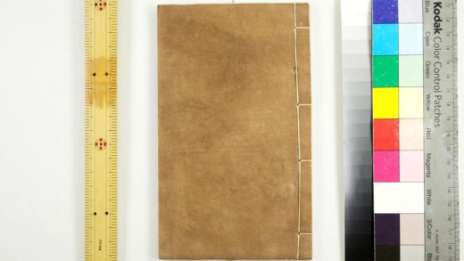 2799 傅相游历各国日记 0621220500 1.jpg