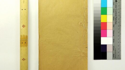 2843 游历巴西图经十卷 0621220643 1.jpg