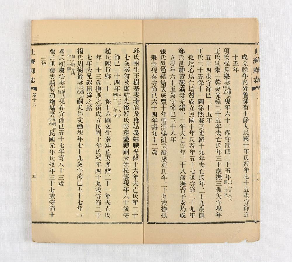 _民国上海县志__