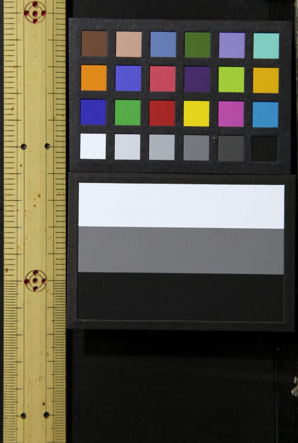 _小学教义问答英文语法__