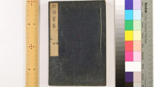 2919 助语审象 0621220951 1.jpg