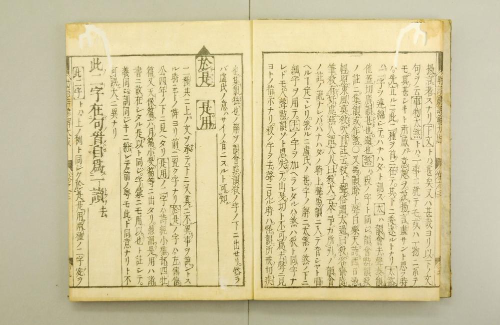 _助语辞谚解大成__