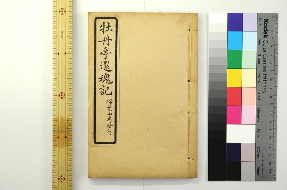 _牡丹亭还魂记__