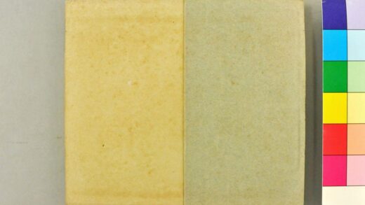 2997 日用万全新书 0621221244 1.jpg