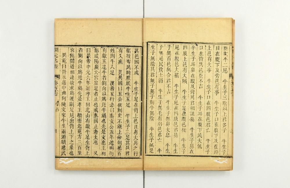 _大唐开元占经__