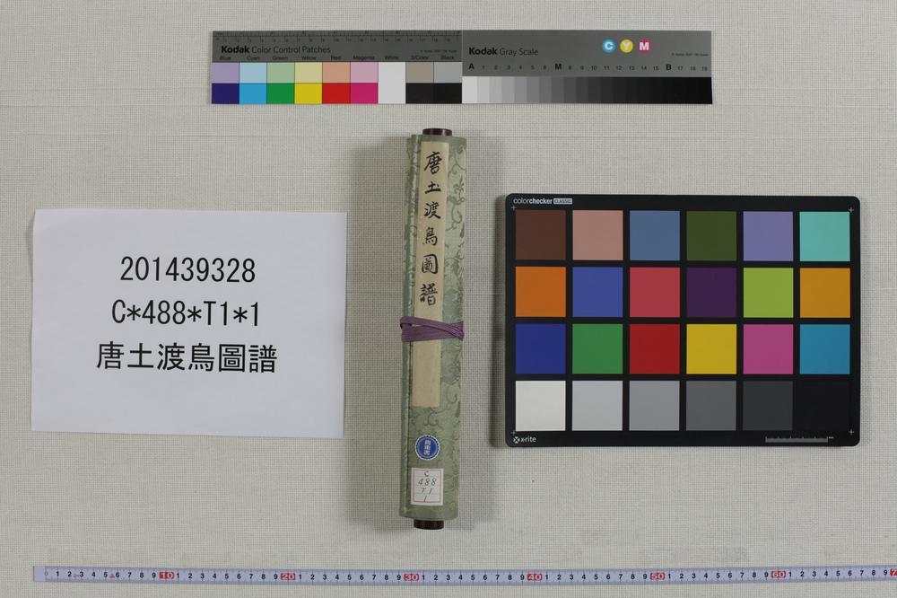 _唐土渡鸟图谱__