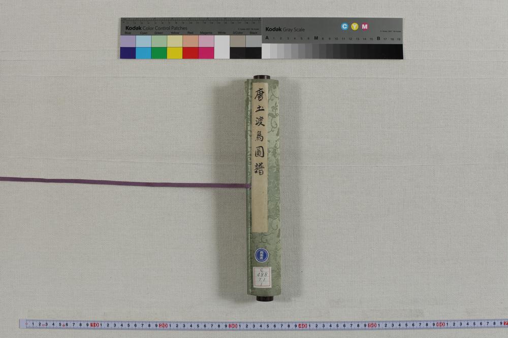 _唐土渡鸟图谱__