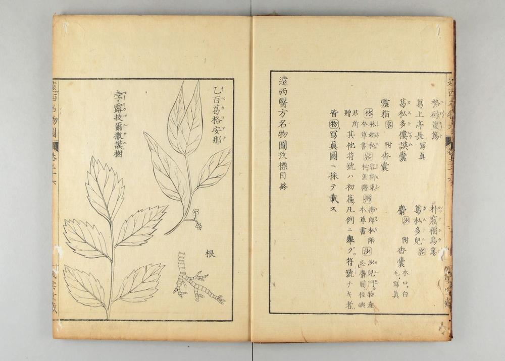 _远西医方名物考__