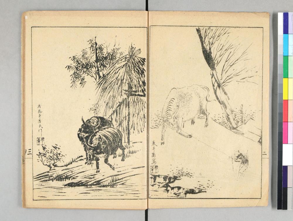 _绘图食物本草__