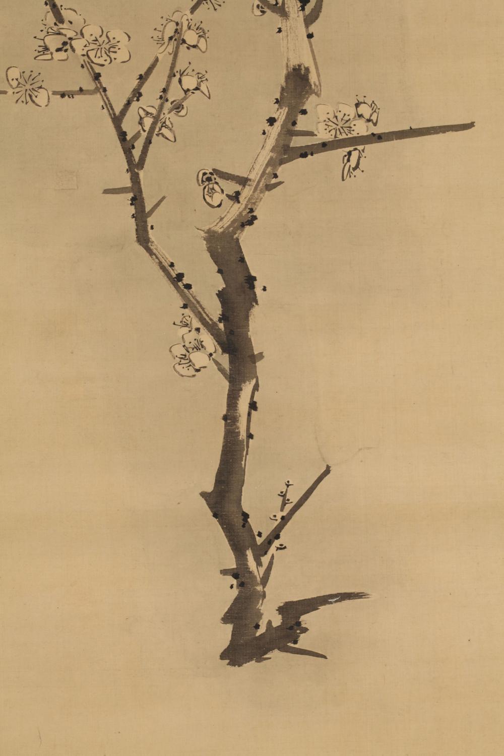 _万年维明梅月图__