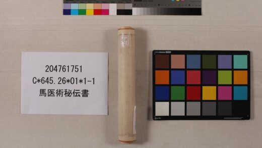 3865 马医术秘传书 0621233412 1.jpg