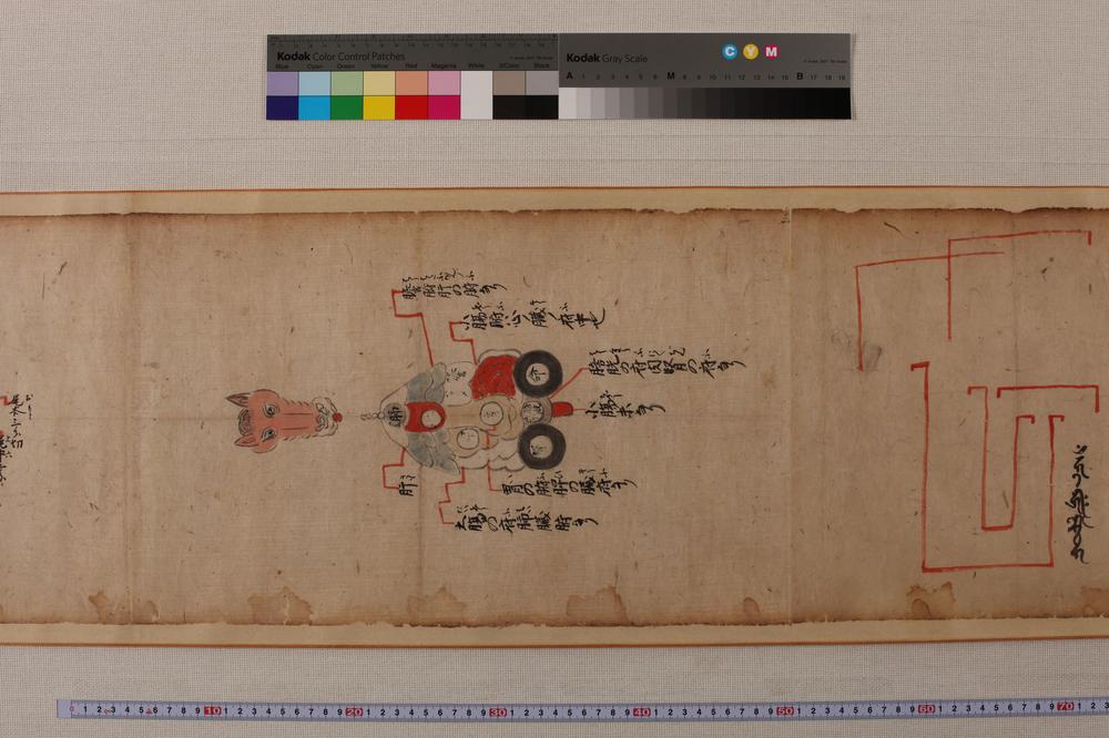 _马医术秘传书__
