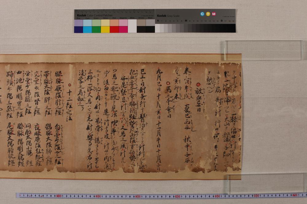 _马医术秘传书__