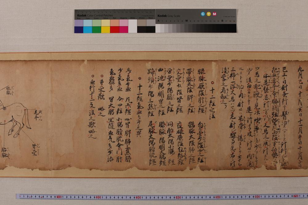 _马医术秘传书__