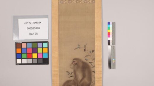 3900 猿之图 0621234047 1.jpg