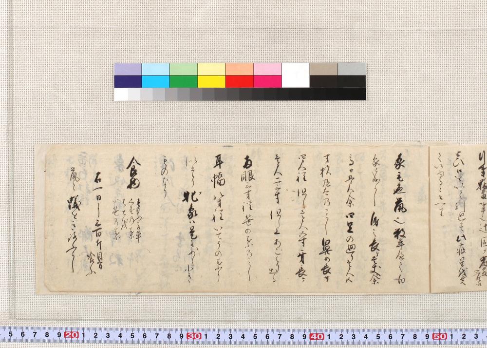 _享保十四己酉年四月交趾国象上京之次第记__