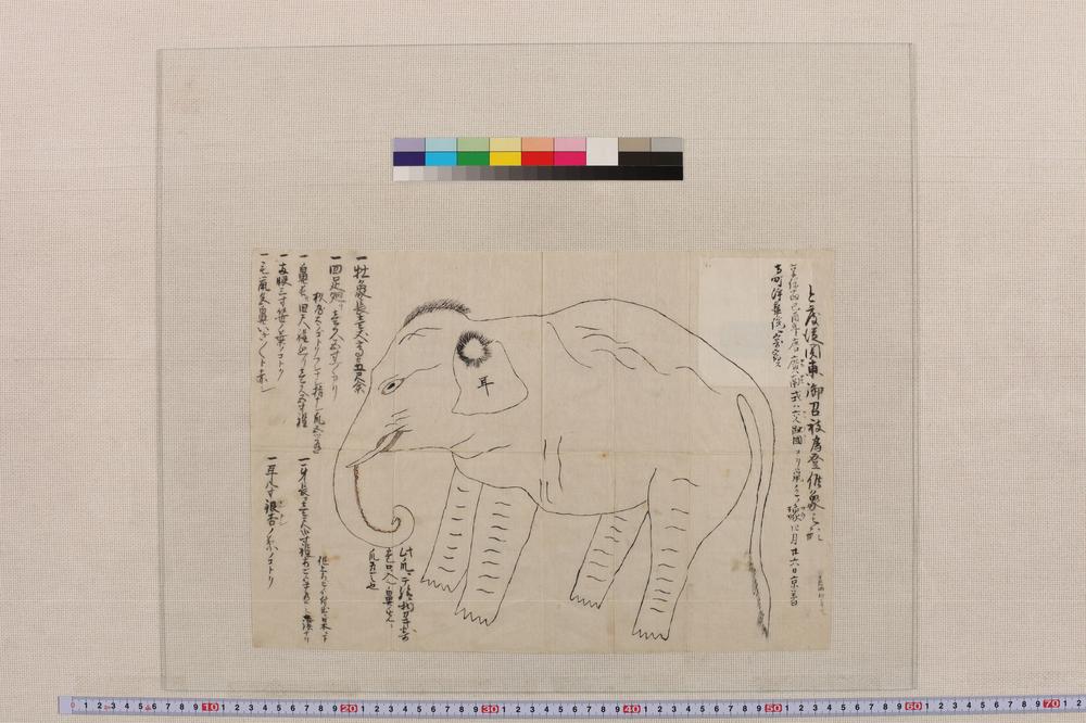 _今度从关东御召被为登候象之形__