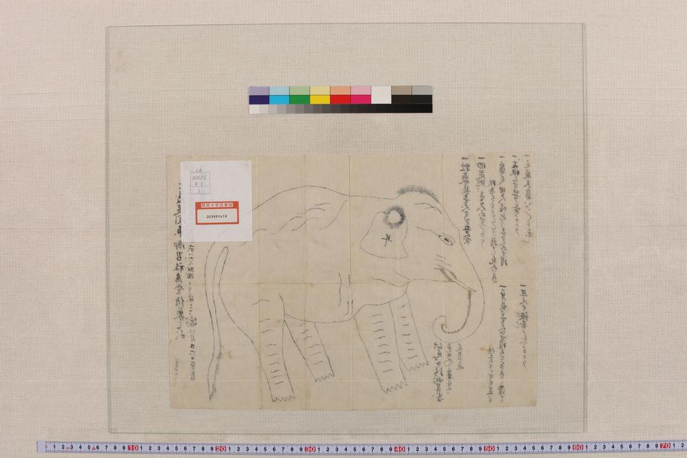 _今度从关东御召被为登候象之形__